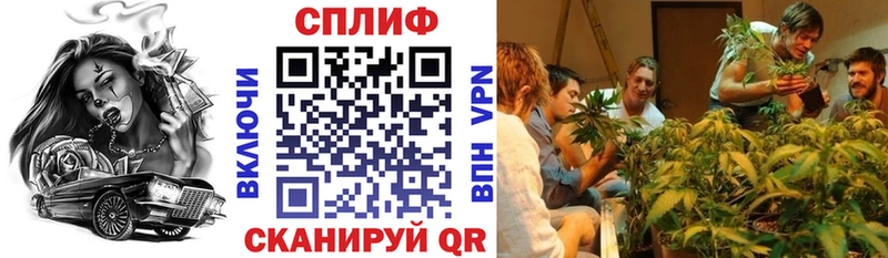 Бошки марихуана сатива  хочу наркоту  Находка 